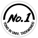 용인대No.1태권도