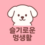 슬기로운 멍생활