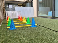 멍동댕애견유치원