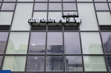 묘하다