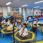 한국체대하늘태권도장