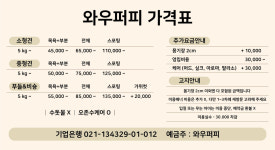 와우퍼피 애견미용실
