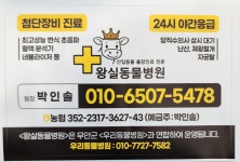 왕실동물병원