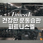 피트니스엘