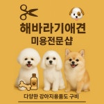 해바라기애견