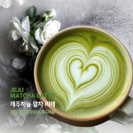 책식여우s 서재123