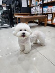 온천동물병원