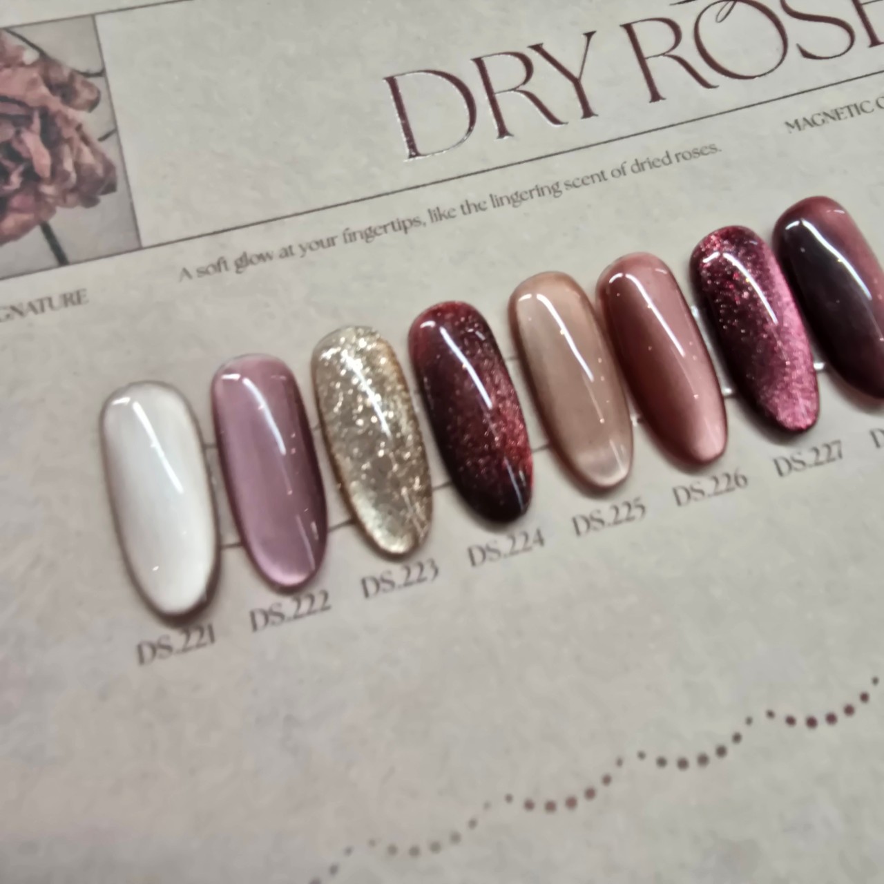 [1회] 손기본젤(케어 + 컬러)