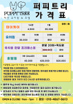 퍼피트리 애견유치원&호텔