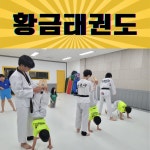 황금태권도 EMP 프리미엄 줄넘기 황금동
