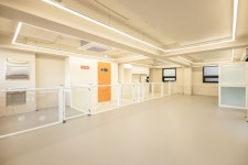 놀러오개 애견유치원 애견호텔 서초직영점