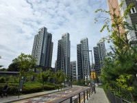 시티탑부동산공인중개사사무소