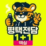 평택전담