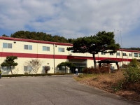 디에스솔루션스