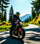 바로배달써비스