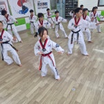 베스트 태권도장