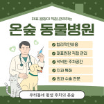 온숲동물병원