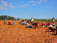 농업회사법인 해찬향기
