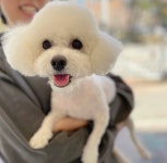 우리댕