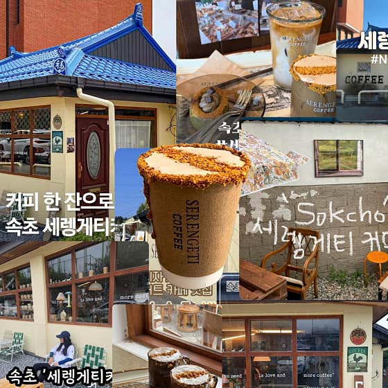 세렝게티커피 사진