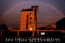 코코자.렉스