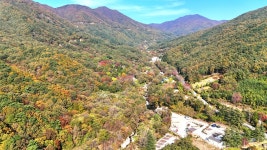 서진이네오토캠핑장