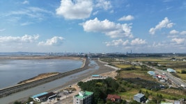 평택금두꺼비공인중개사사무소