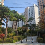 에이스공인중개사사무소