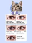 1001안경 위드렌즈 수원역점