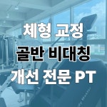 해부학적운동 성내점