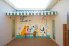 코리아펫아카데미