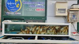청학횟집