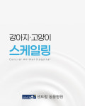 센트럴동물병원