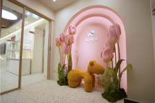 코리아펫아카데미