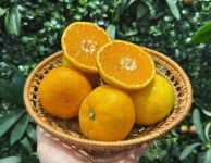 우리동네국민상회 힐스자이계양점