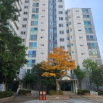 에이스공인중개사사무소