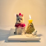 루비까까 강아지케이크