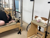 유신필라테스 시흥포동점