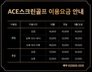ACE스크린골프