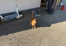 SK엔크린 열두개울제일주유소