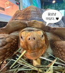 쥬니멀 초정행궁점