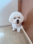 그루밍하우스