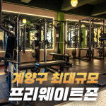 아크짐 헬스&PT 작전점