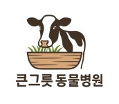 큰그릇동물병원