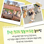 뚜랑이네 애견놀이방&호텔링