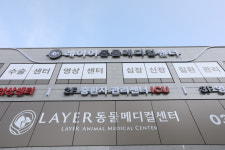 레이어동물메디컬센터