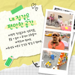뚜랑이네 애견놀이방&호텔링