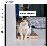 깊은지성수학학원