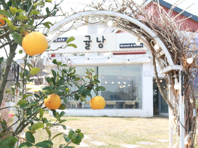 카페 귤낭