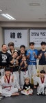 용인대정의태권도